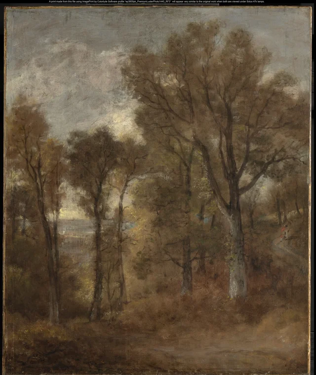 Scène de sous-bois dominant Dedham Vale
