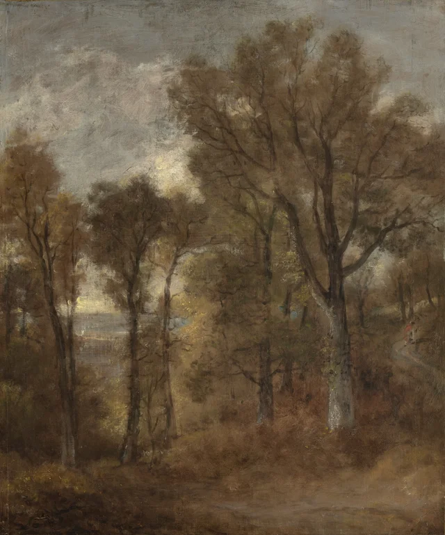 Escena de bosque con vistas a Dedham Vale