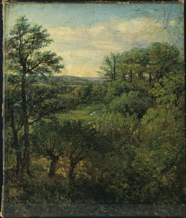 Scène de vallée, avec arbres