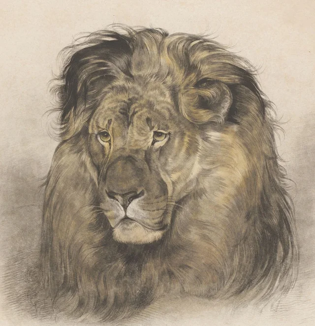 Cabeza de león