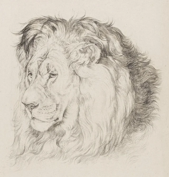 Cabeza de león