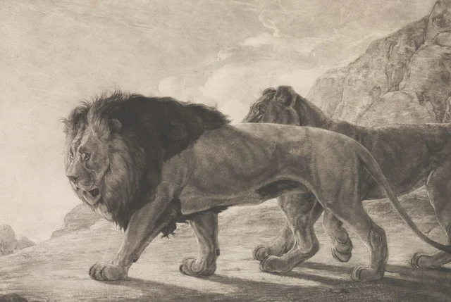 León y leona (merodeando)