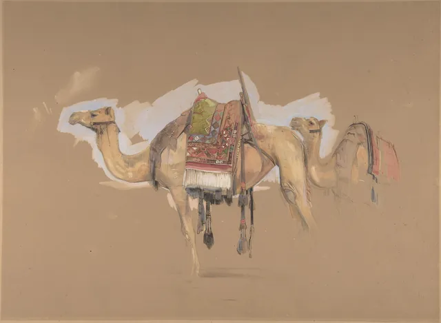 Dois camelos, John Frederick Lewis