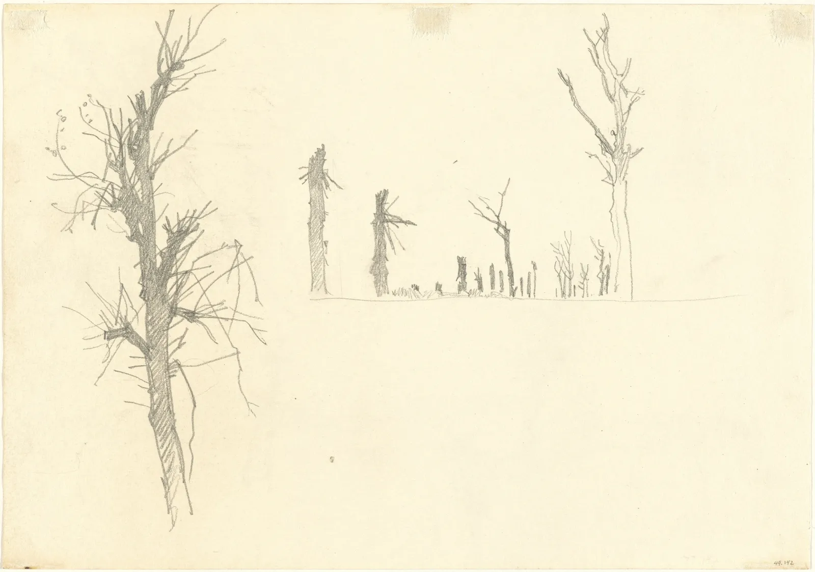 Devastated Trees [verso], John Singer Sargent