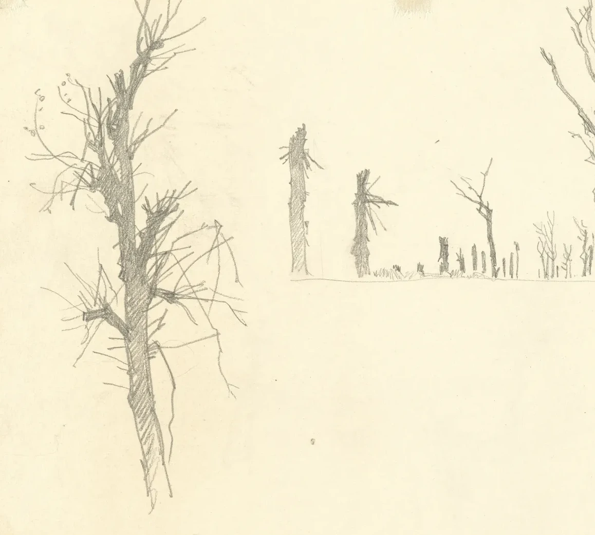 Devastated Trees [verso], John Singer Sargent