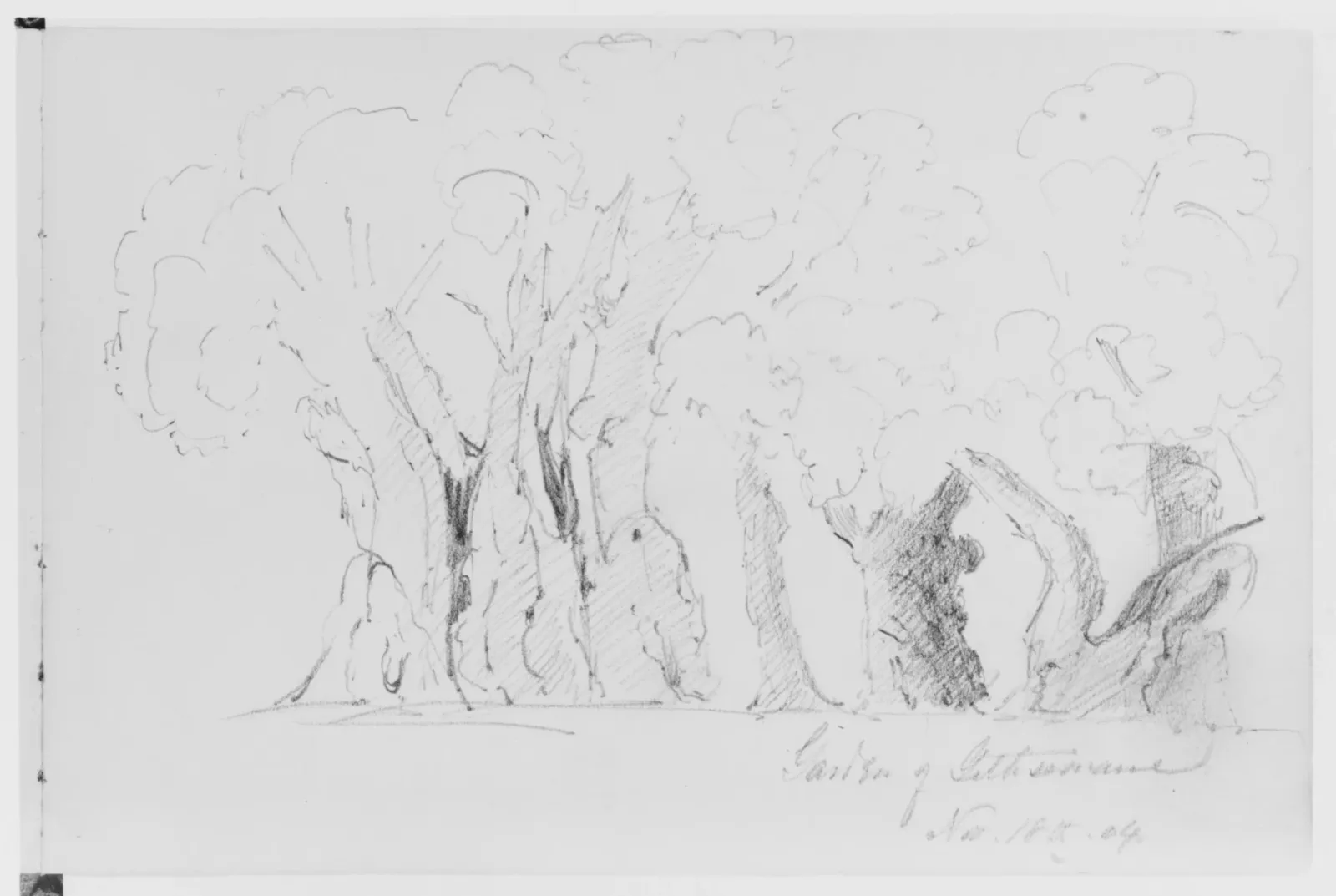 Garden of Gethsemane, 1904 (from Sketchbook), John Singer Sargent