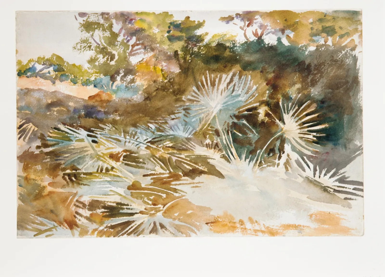 Landscape with Palmettos, John Singer Sargent