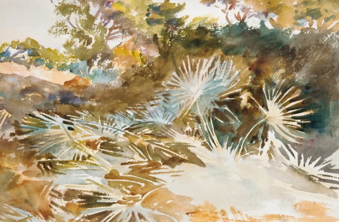 Landscape with Palmettos, John Singer Sargent