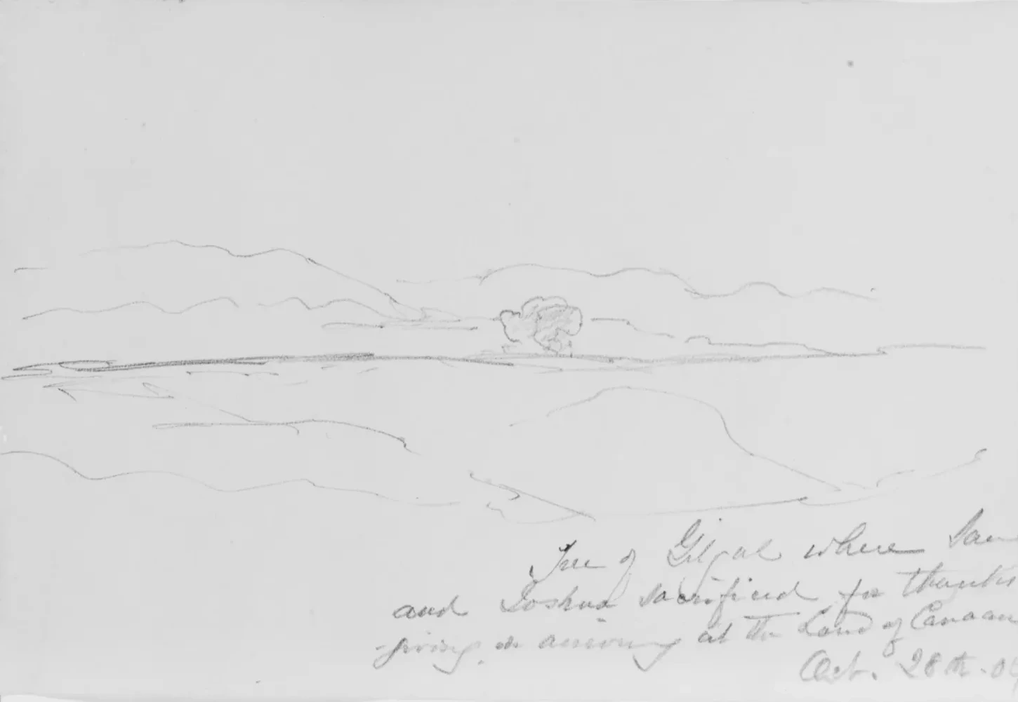 Landscape with Tree, 1904 (from Sketchbook), John Singer Sargent