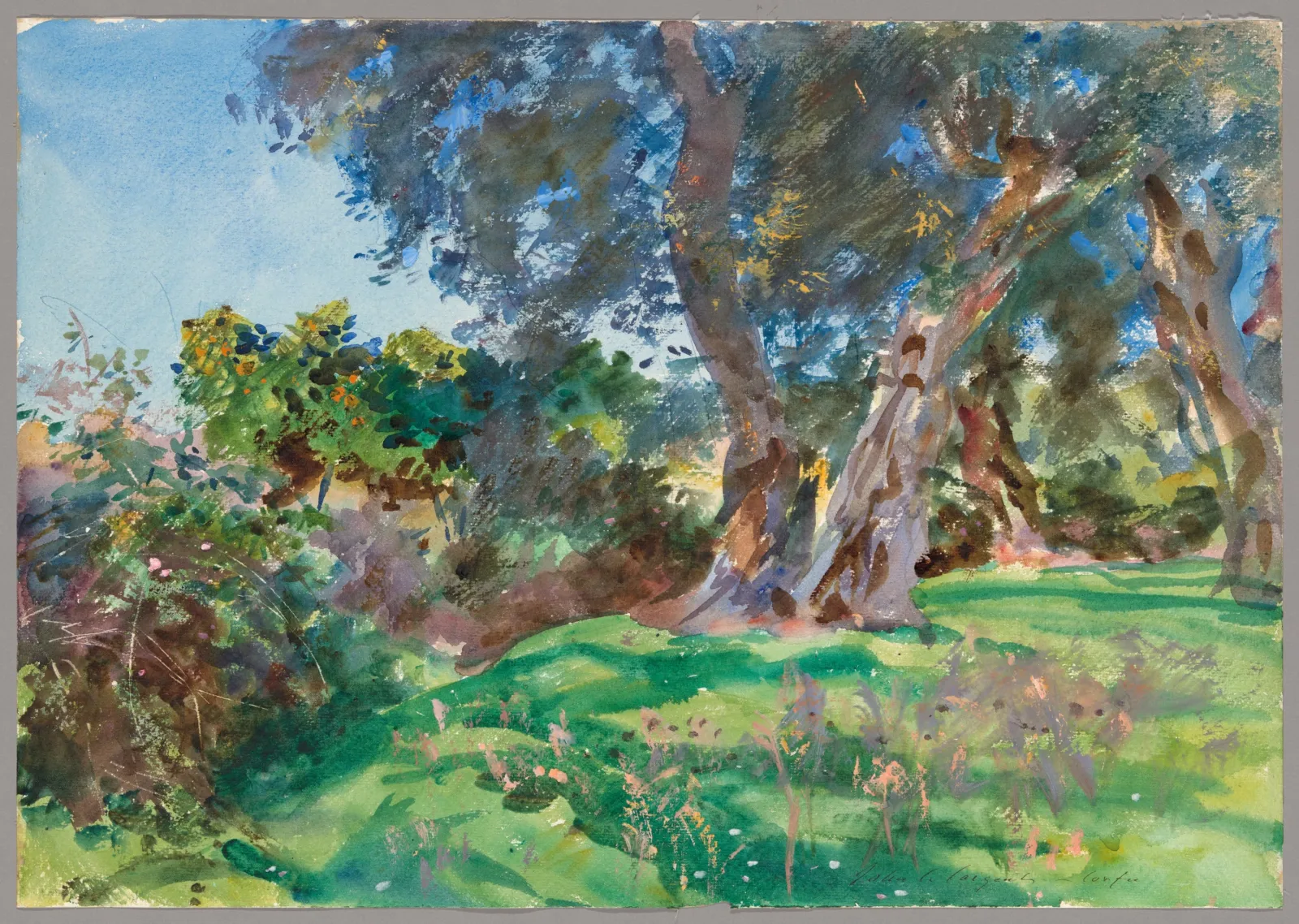Olive Trees, Corfu, John Singer Sargent