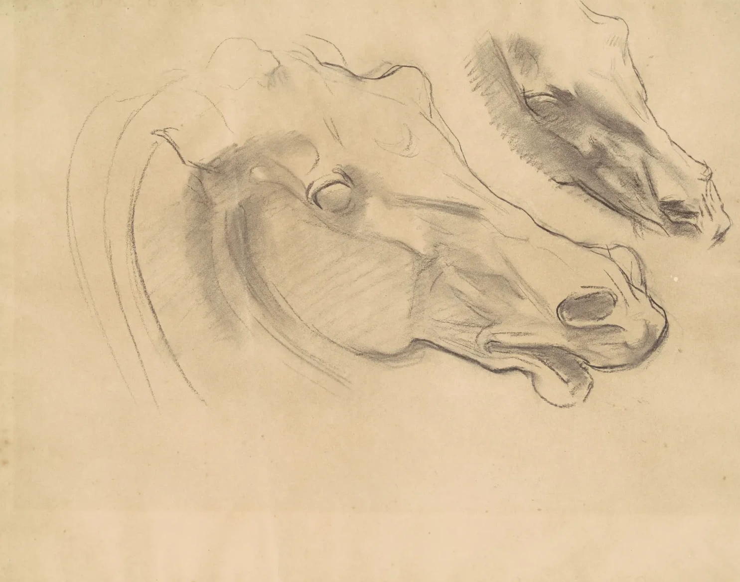 Studies for "Apollo in His Chariot with the Hours", John Singer Sargent