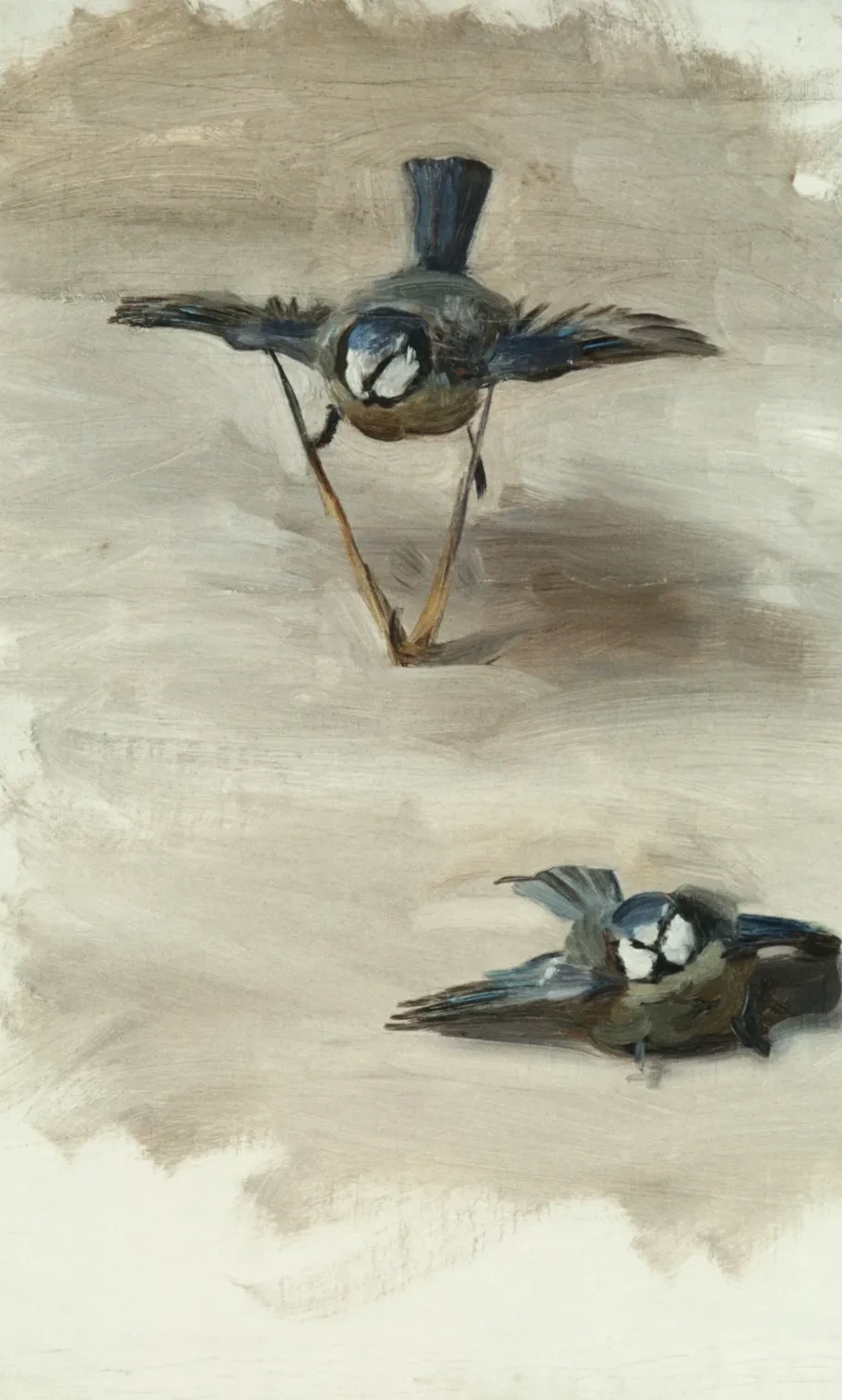 Studies of a Dead Bird, John Singer Sargent