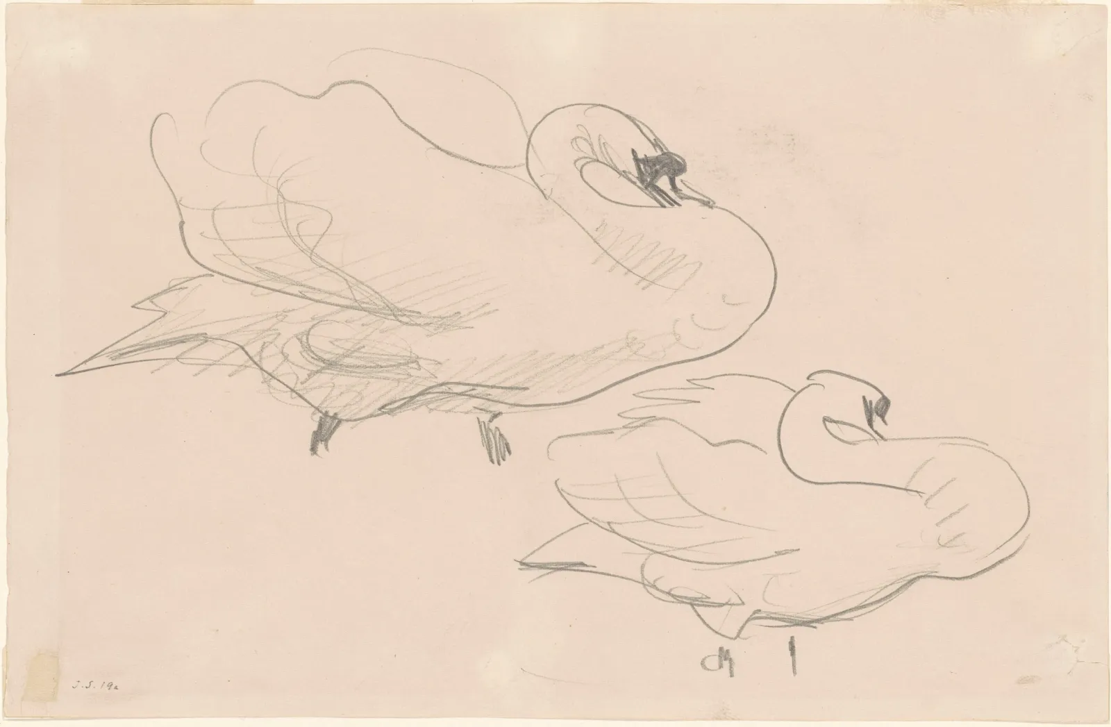 Studies of a Swan, John Singer Sargent