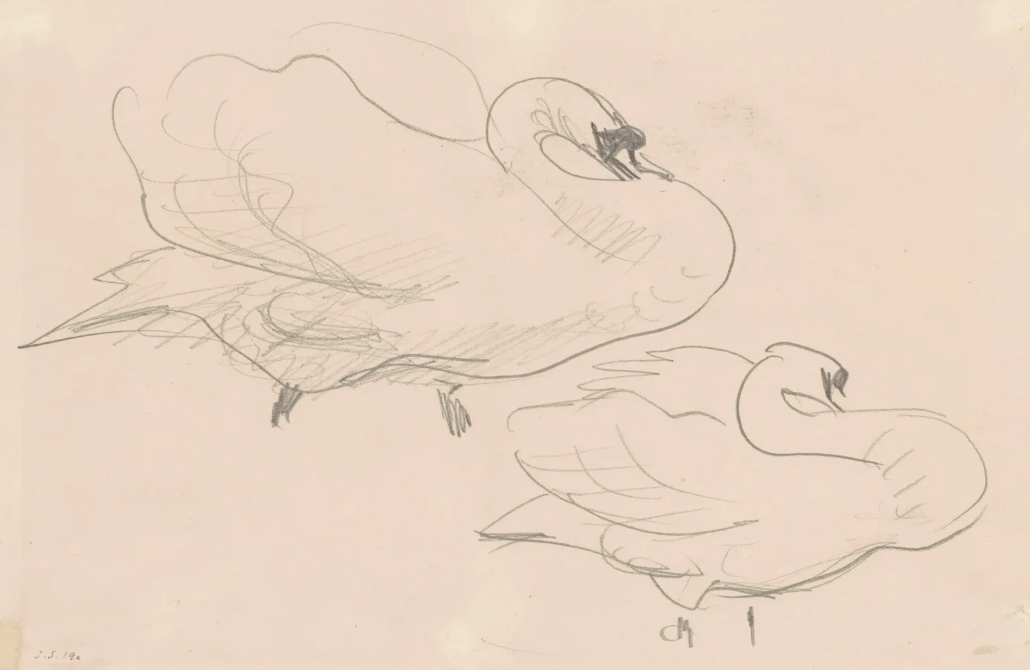 Studies of a Swan, John Singer Sargent