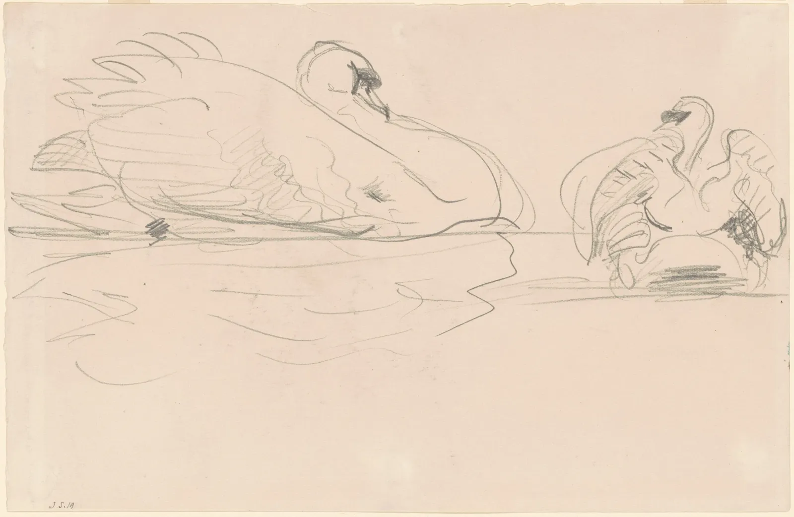 Swans in the Water, John Singer Sargent