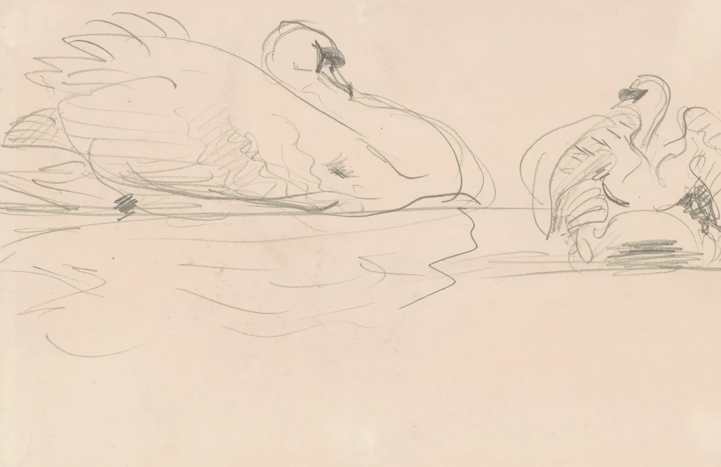 Cygnes sur l'eau, John Singer Sargent
