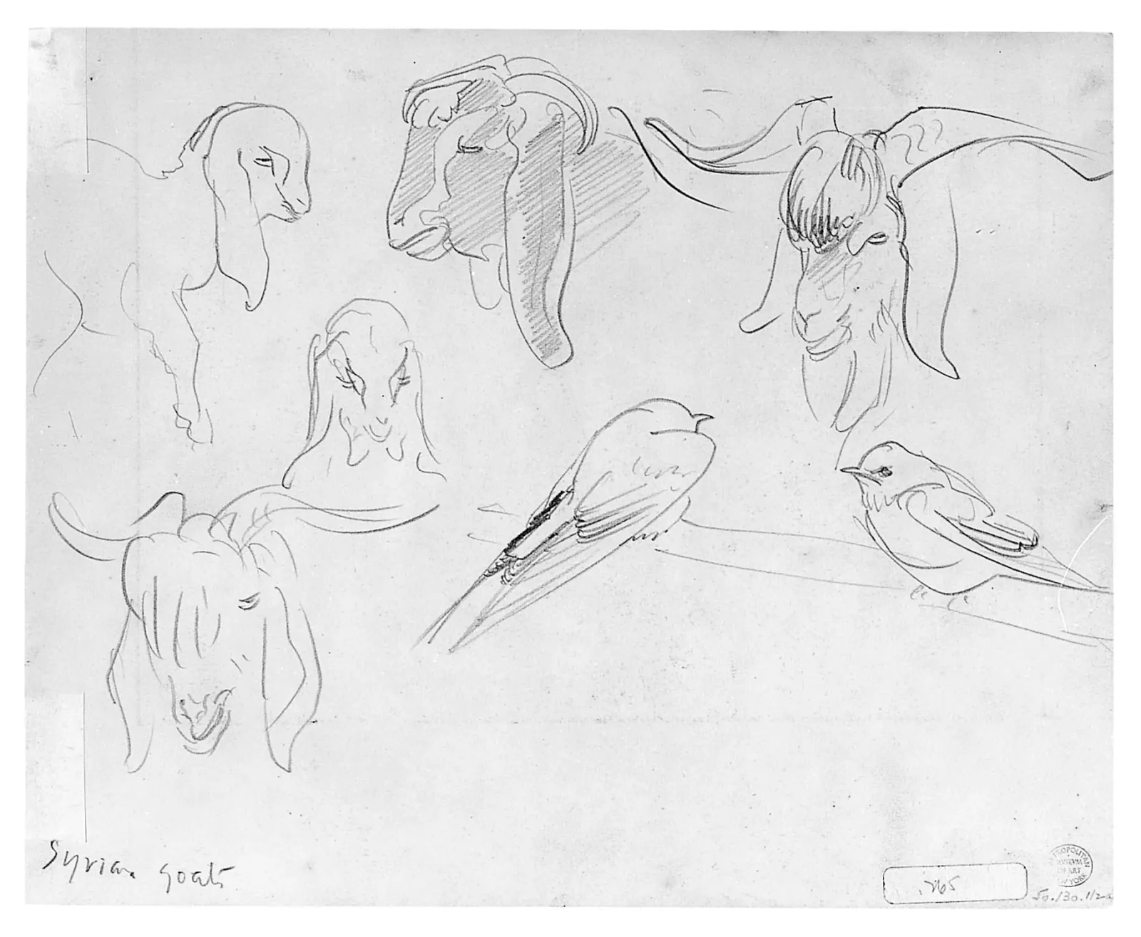 Syrian Goats and Bird, John Singer Sargent