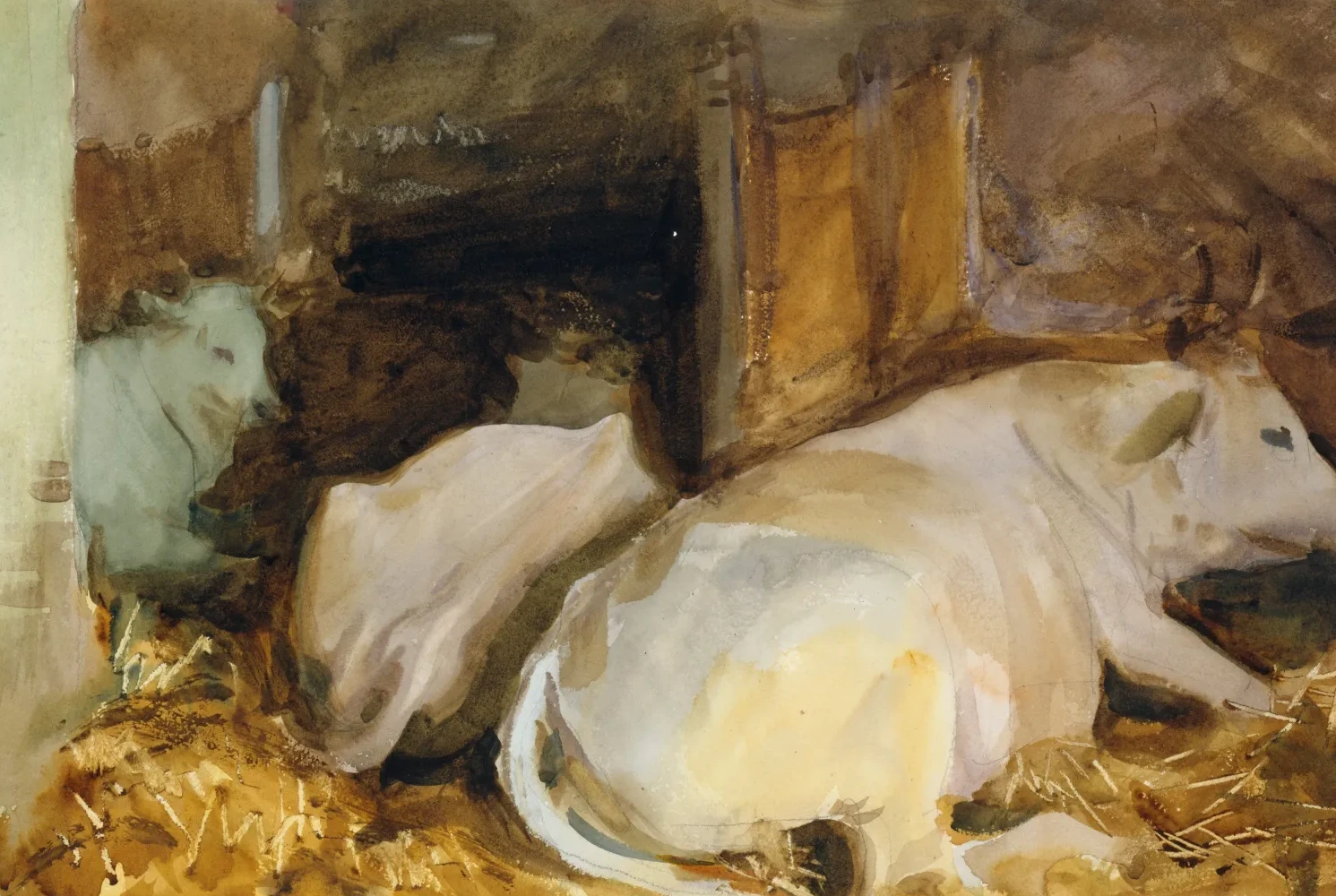 Three Oxen, John Singer Sargent