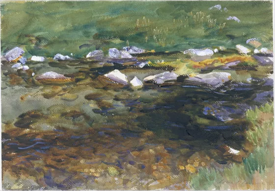 Brook and Meadow
