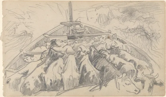 Cattle in Stern of a Boat