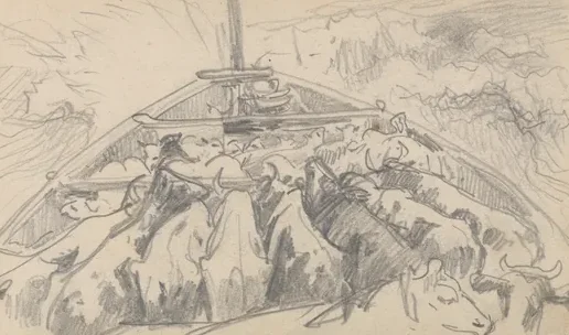 Cattle in Stern of a Boat