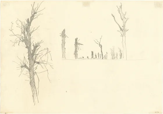 Devastated Trees [verso]
