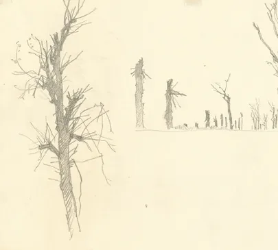 Devastated Trees [verso]