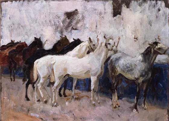 Horses at Palma