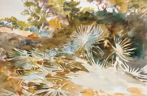Landscape with Palmettos
