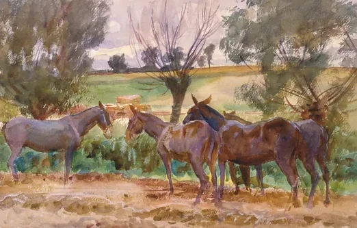 Mules