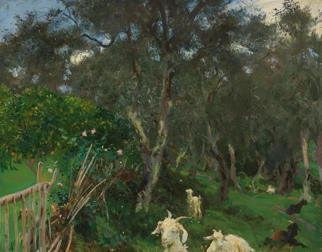 Olivos en Corfú, John Singer Sargent