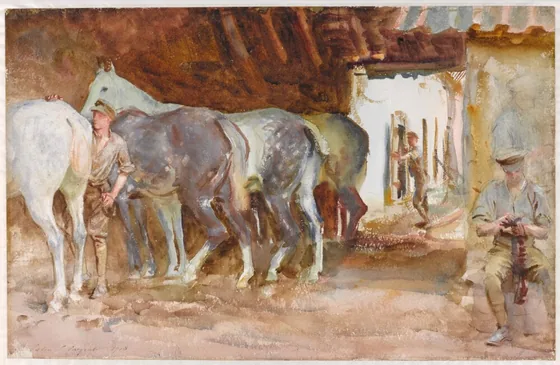 Scots Greys