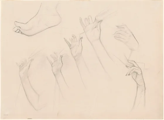 Studies for "Fumee d'Ambre Gris"