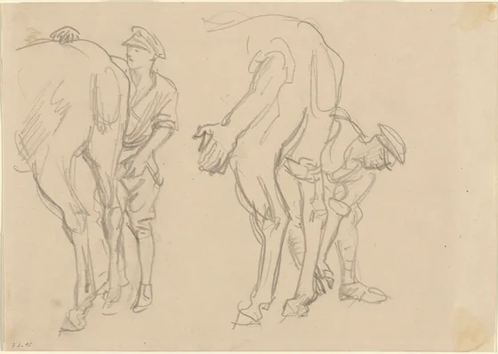 Studies for "Scots Grey"