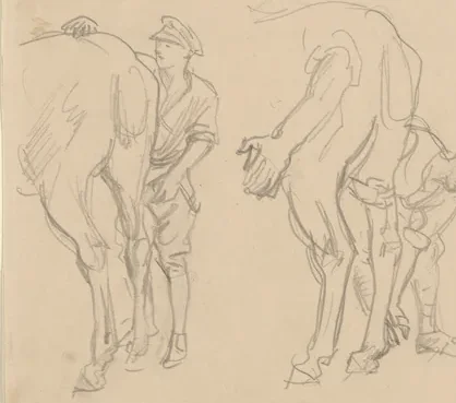 Studies for "Scots Grey"