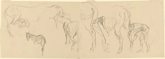 Studies for "Shoeing Calvary Horses at the Front" [recto]