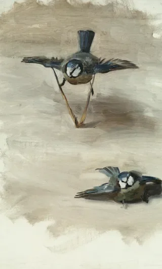 Studies of a Dead Bird