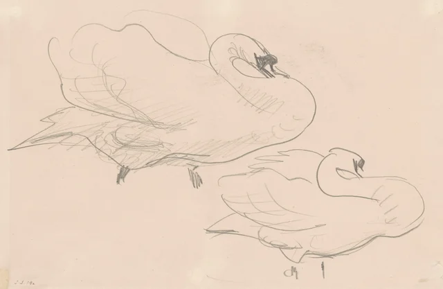 白鳥の習作
