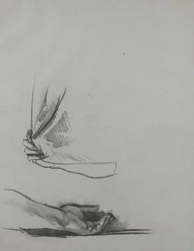 Studies of Hands