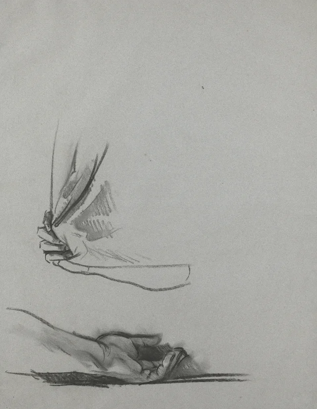 Études de mains