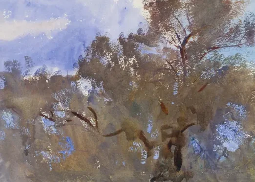 Treetops against Sky