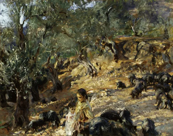 Under the Olives