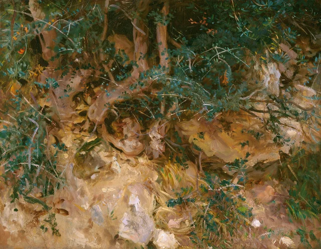 Valdemosa, Majorque : chardons et herbes sur un coteau, John Singer Sargent