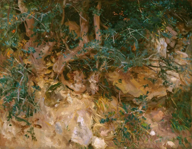 Valdemosa, Majorque : chardons et herbes sur un coteau
