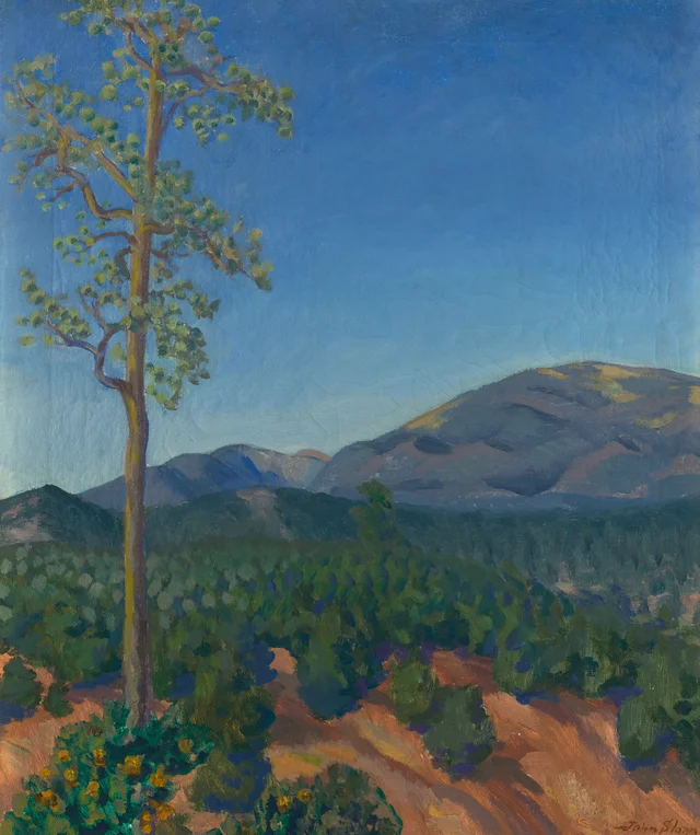 Pino solitario