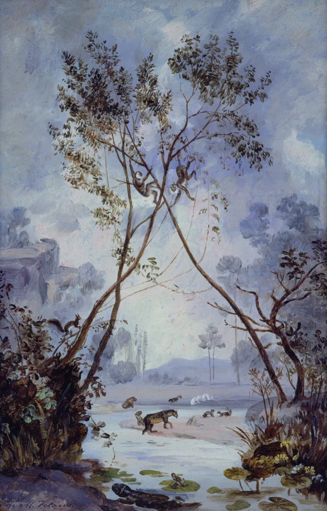 Flora and Fauna of the Cenozoic Period, Miocene. Evolution of Continental Life on Earth. Geological Study, José María Velasco