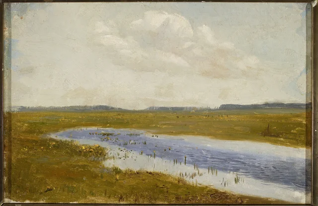 Paisagem, prado com calêndulas-do-brejo