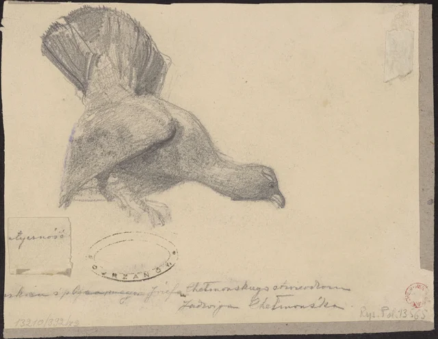 Paisagem; no verso: tetraz-grande, estudo para «A Caça ao tetraz-grande» de 1890