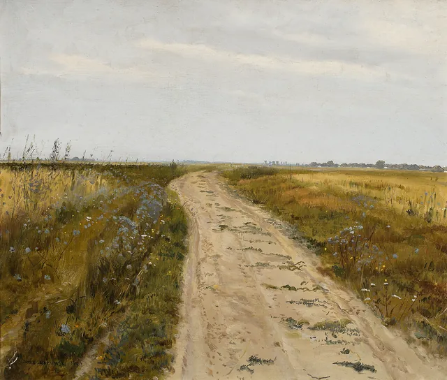 Caminho de campo