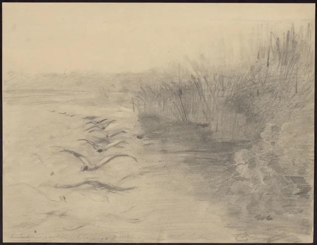 Pássaros sobre o lago, esboço para «Lago ao crepúsculo» de 1890, Józef Chełmoński